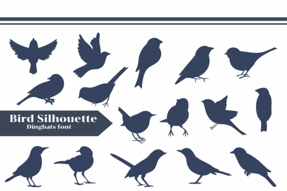Bird Silhouette: A Sketchy Typographic Statement