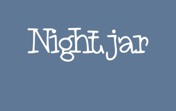 Choosing the Right Font: Nightjar for a Sophisticated Digital Brand