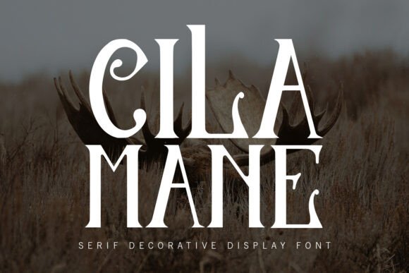 Cilamane: A Serif Font That Elevates Editorial Design