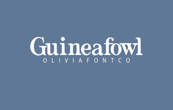 Guineafowl: A Serif Font That Elevates Your Digital Brand