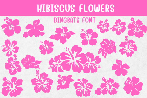 Hibiscus Flowers: A Floral Font for a Polished Brand