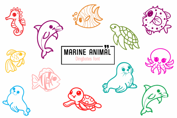 Marine Animal: A Sketchy Typographic Delight