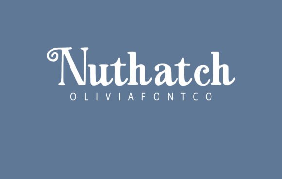 Nuthatch: A Serif Font for Elegant Web Design