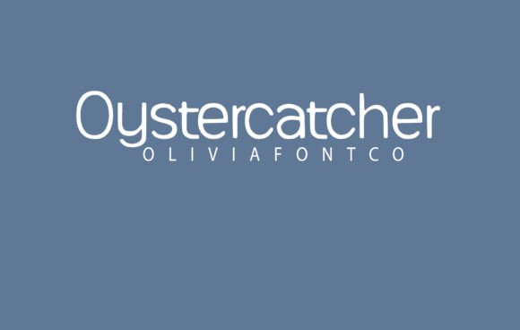 Oystercatcher: A Handwritten Font for Impactful Digital Design