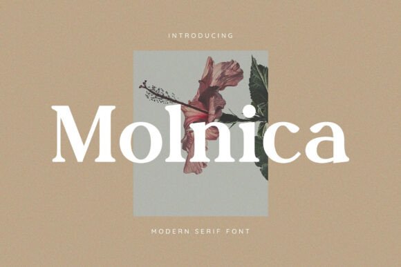 Upgrade Your Brand with Molnica: A Serif Font That Speaks Volumes